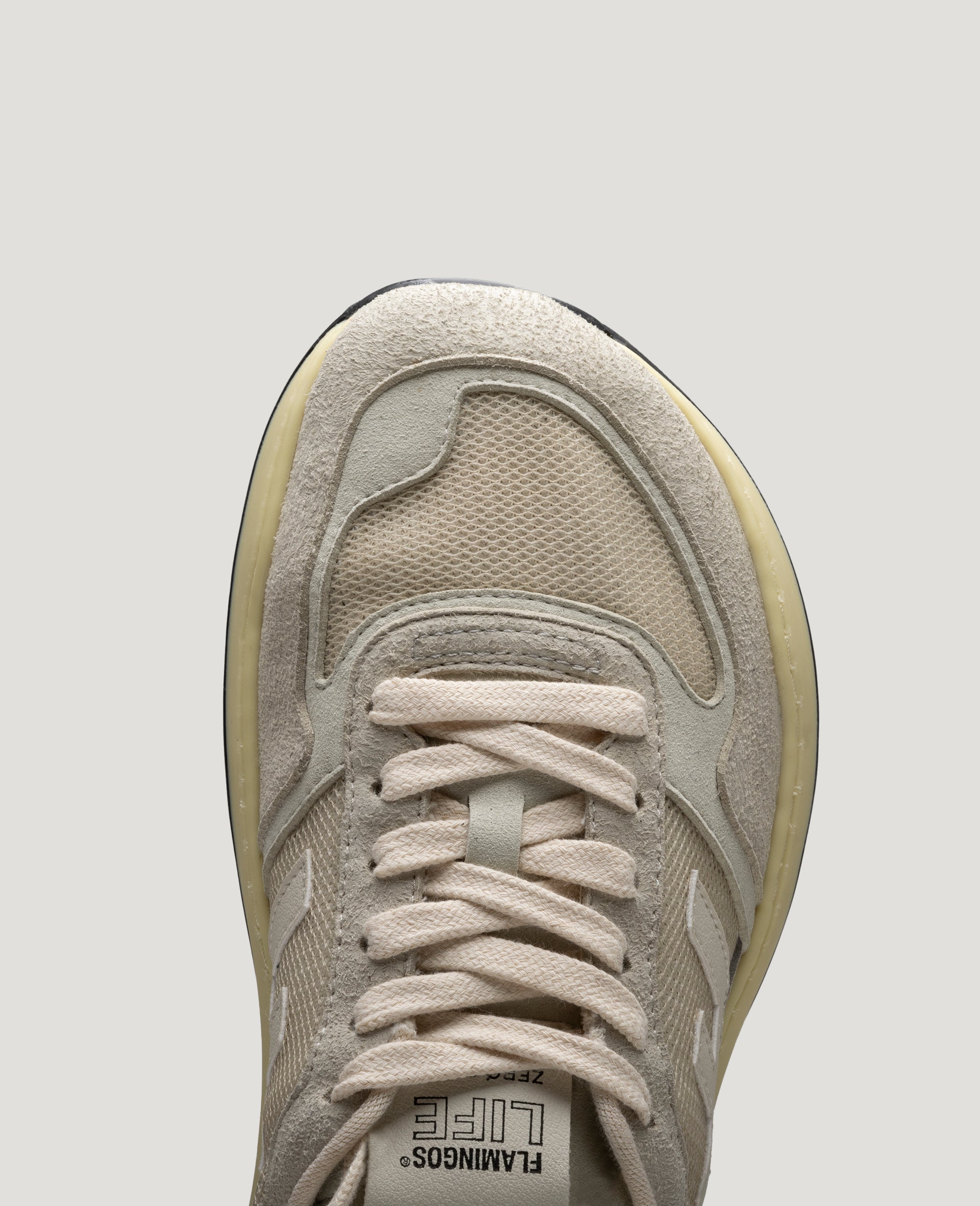 Zoom